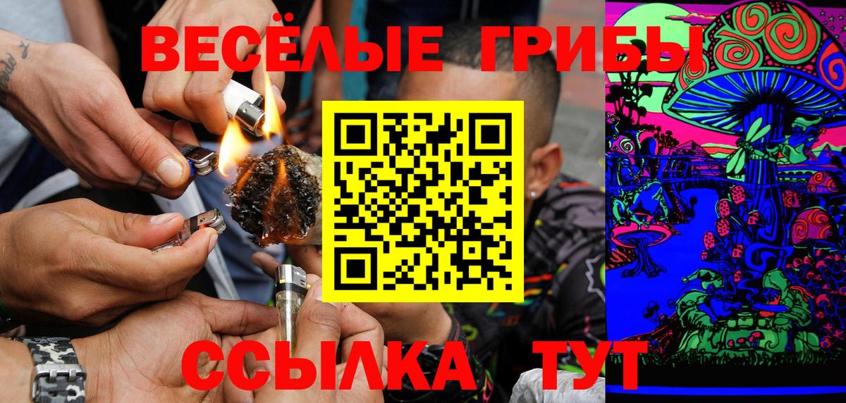 Псилоцибиновые грибы Psilocybine cubensis Лесосибирск